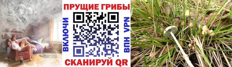 Псилоцибиновые грибы мухоморы  Хотьково 